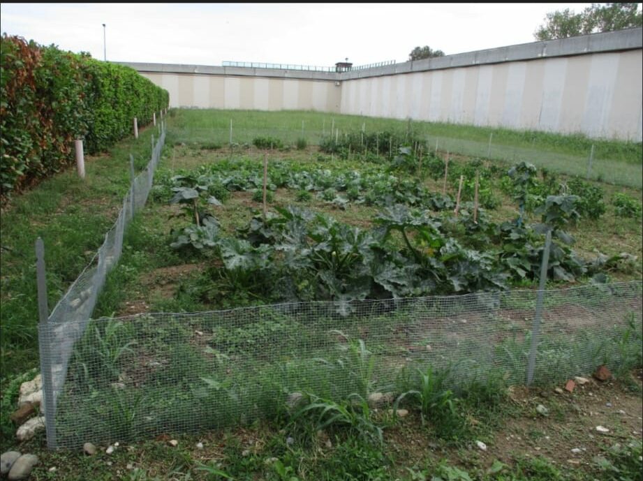 Un nuovo volontario per il progetto “Orti in carcere”